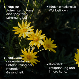 Johanniskraut | 180 Kapseln