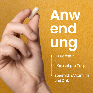 Spermidin Kapseln