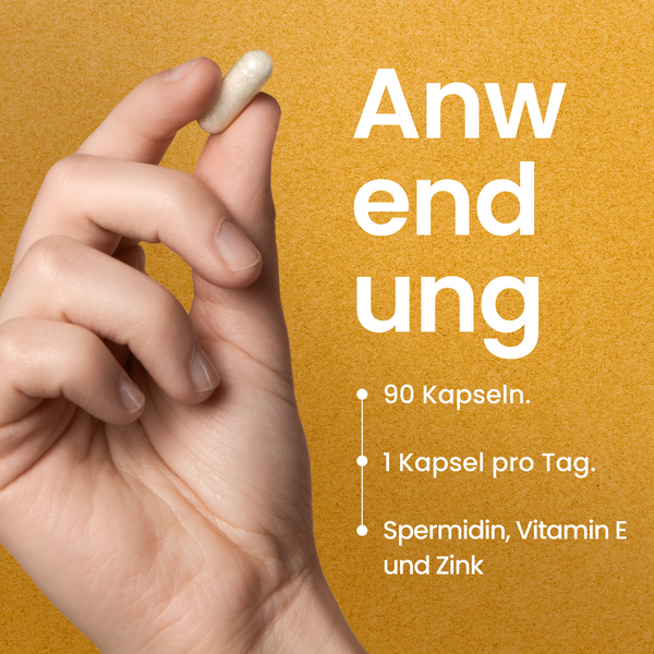 Spermidin Kapseln
