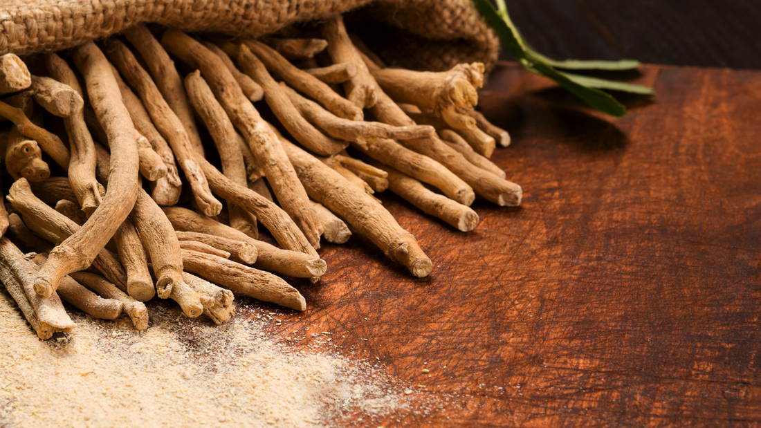 Ashwagandha-Wurzelpulver oder Extrakt?