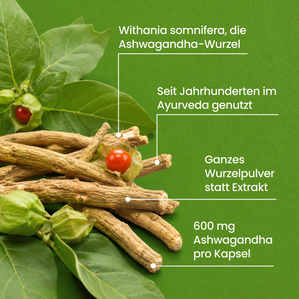 Ashwagandha BIO | 270 Kapseln
