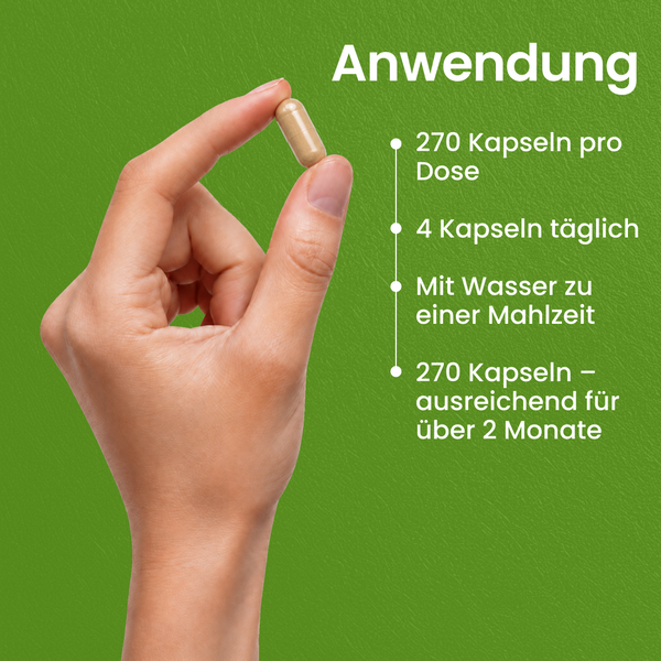 Ashwagandha BIO | 270 Kapseln