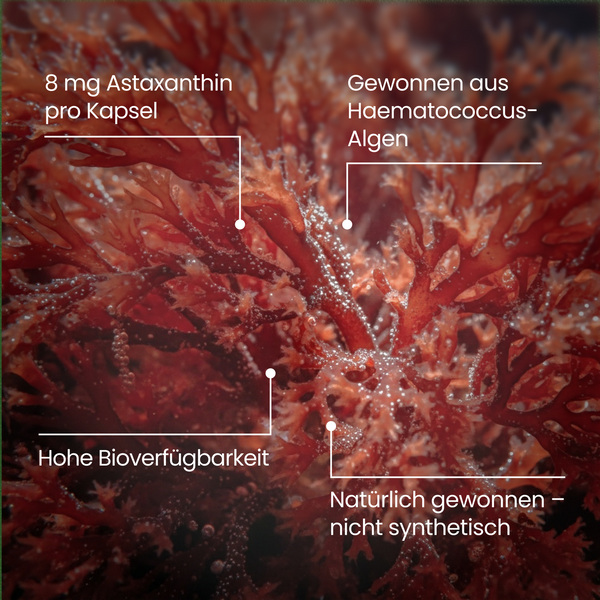 Astaxanthin |180 Kapseln