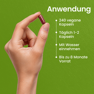 Rote Bete | 240 Kapseln