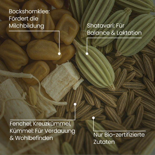 Naturstill Komplex | 180 Kapseln