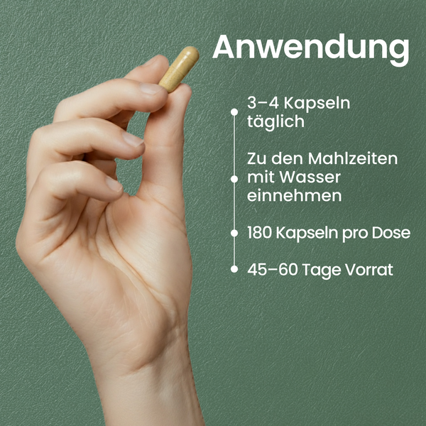 Naturstill Komplex | 180 Kapseln