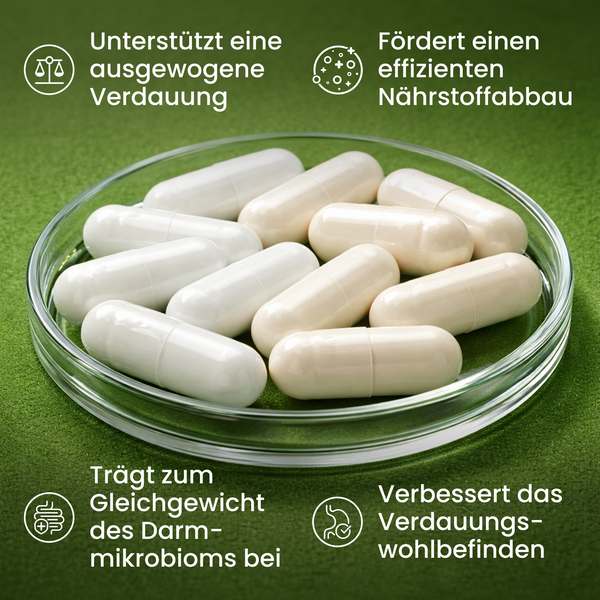 Darm & Verdauungsgesundheit Bundle