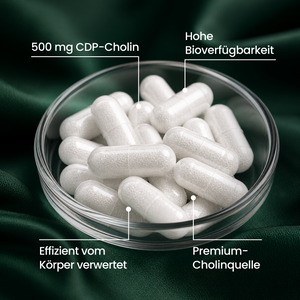 Cholin | 120 Kapseln