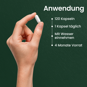 Cholin | 120 Kapseln