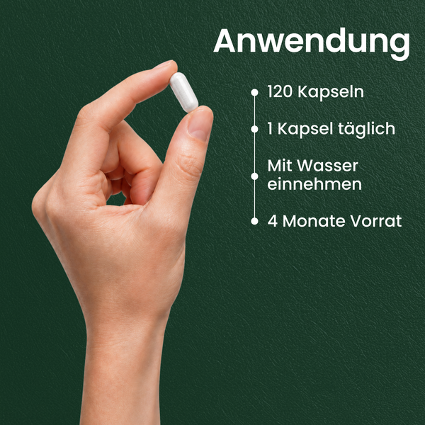 Cholin | 120 Kapseln