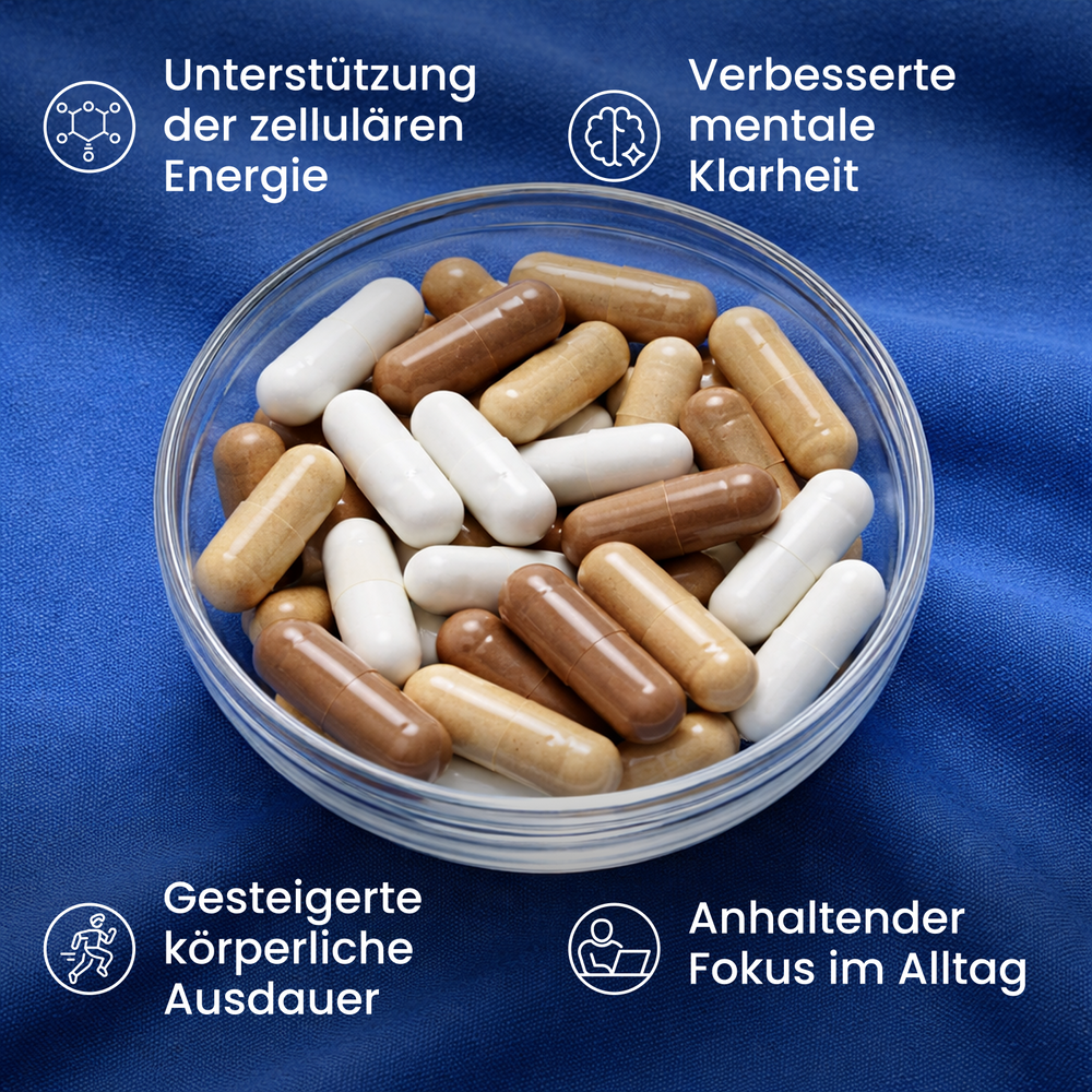 Energie & Fokus Bundle