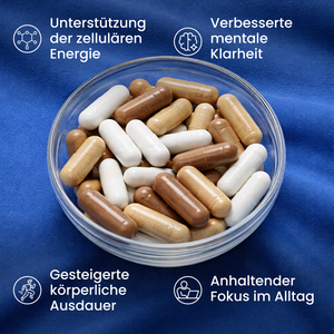 Energie & Fokus Bundle