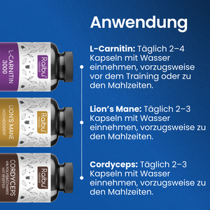 Energie & Fokus Bundle