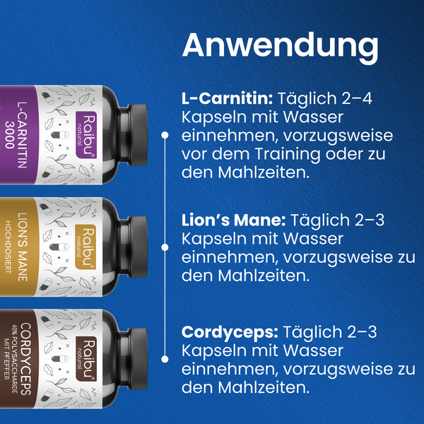 Energie & Fokus Bundle