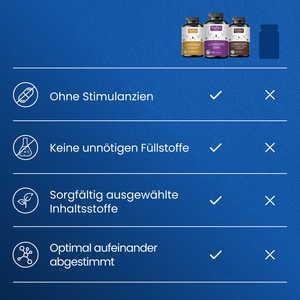 Energie & Fokus Bundle