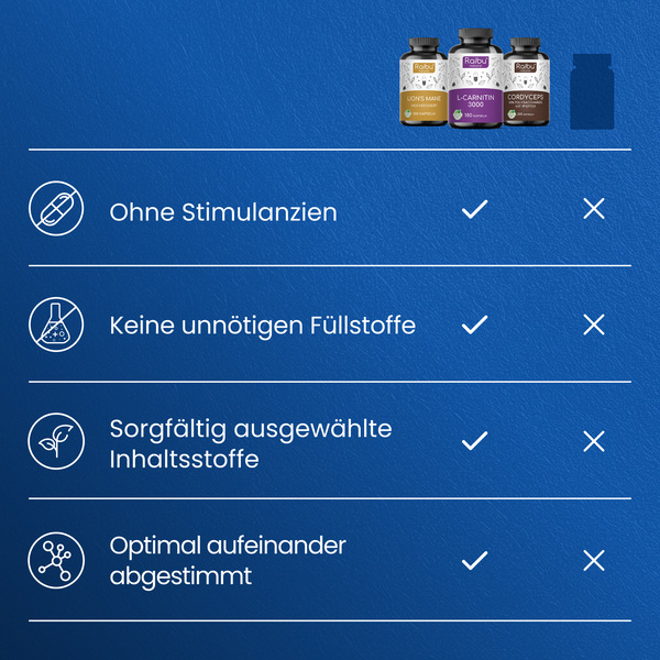 Energie & Fokus Bundle
