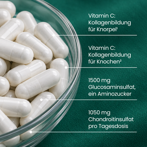Glucosamin Chondroitin + Vitamin C | 200 Kapseln