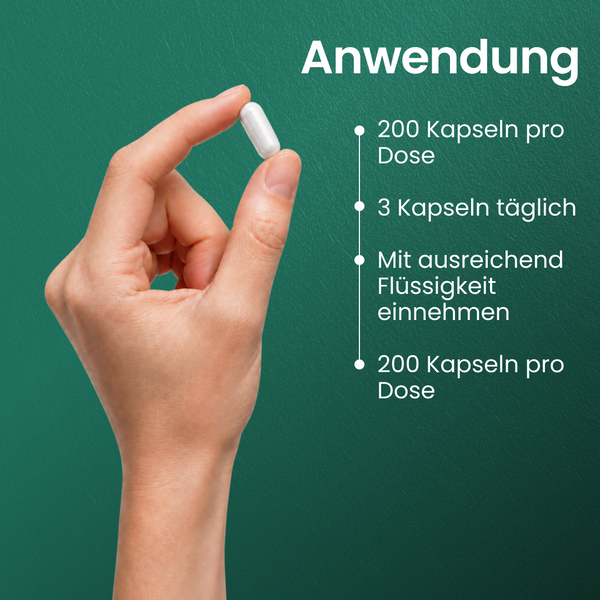 Glucosamin Chondroitin + Vitamin C | 200 Kapseln