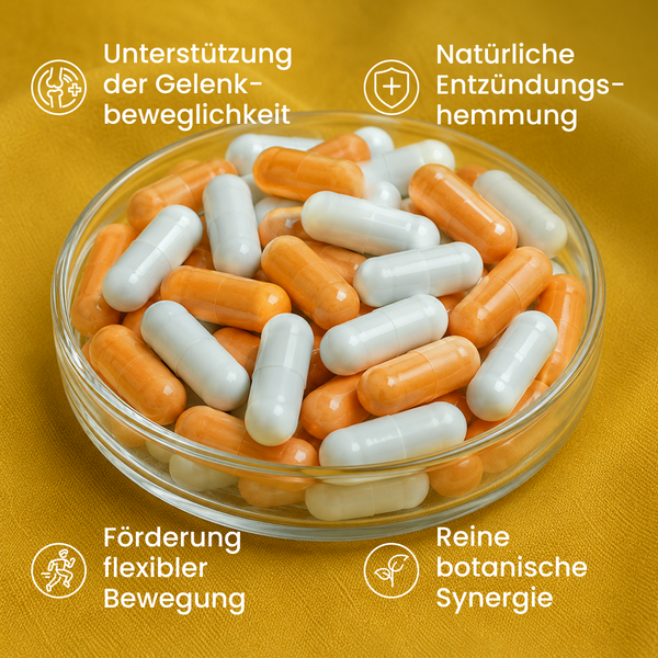 Gelenk & Entzündungs Bundle