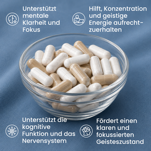 Klarheit & Fokus Bundle