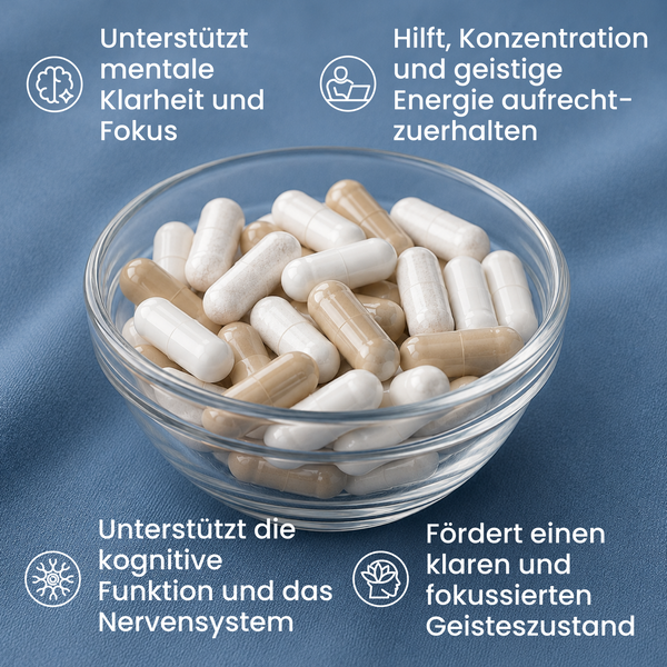 Klarheit & Fokus Bundle