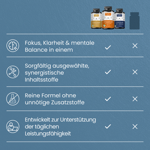 Klarheit & Fokus Bundle