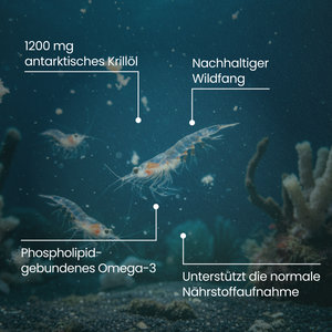 Krillöl | 200 Kapseln