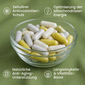 Langlebigkeits Bundle