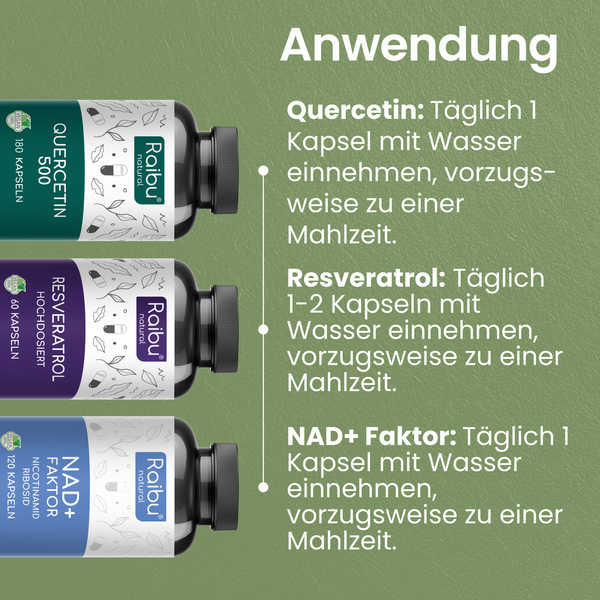 Langlebigkeits Bundle