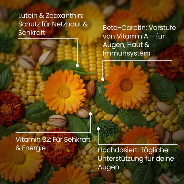 Lutein | 120 Kapseln