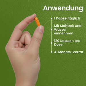 Lutein | 120 Kapseln