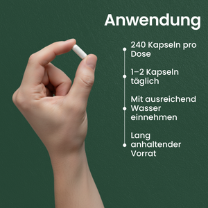 Magnesium-Komplex | 200 Kapseln