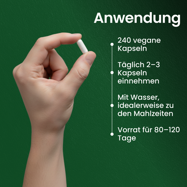 Magnesium Malat | 240 Kapseln
