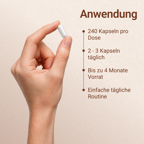 Magnesiumbisglycinat | 240 Kapseln