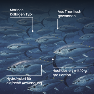 Marine Kollagen | Pulver