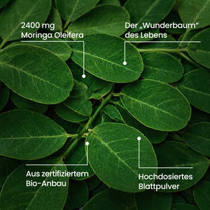Moringa BIO | 270 Kapseln