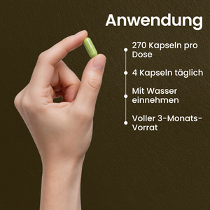 Moringa BIO | 270 Kapseln