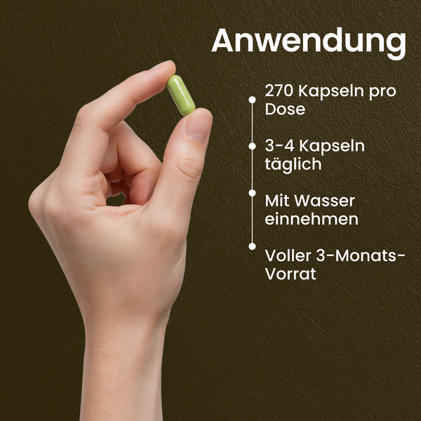 Moringa BIO | 270 Kapseln