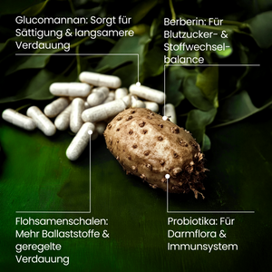 S|im Balance | 30 Portionen