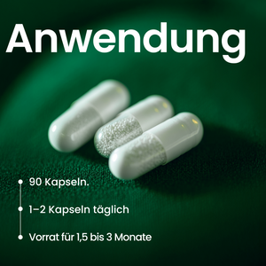 L-Glutathione | 90 Kapseln