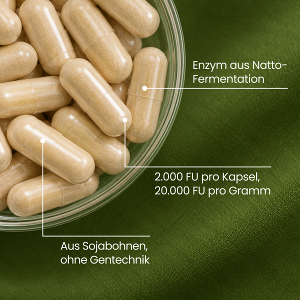 Nattokinase | 240 Kapseln