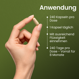 Nattokinase | 240 Kapseln
