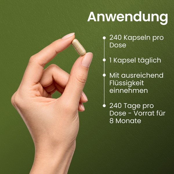 Nattokinase | 240 Kapseln