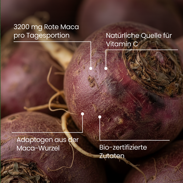 Maca | 180 Kapseln