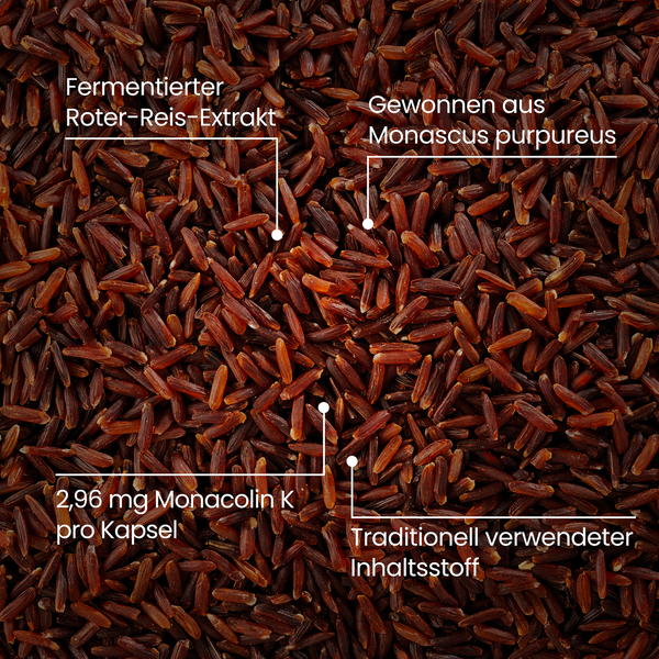 Roter Reis | 120 Kapseln