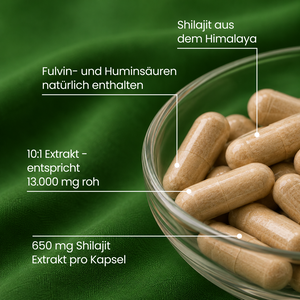 Shilajit | 120 Kapseln