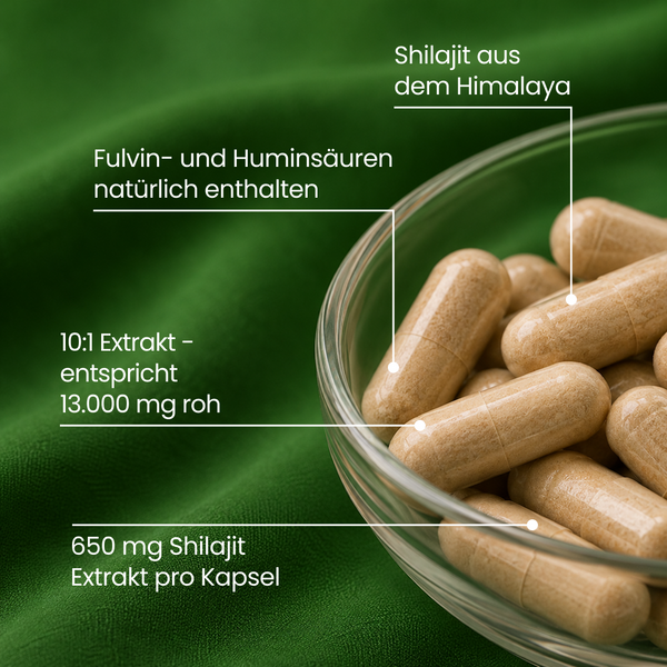Shilajit | 120 Kapseln