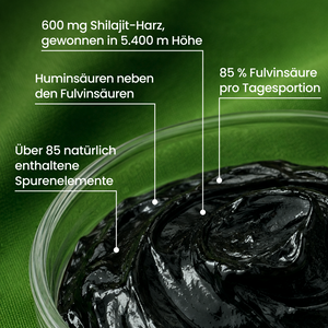 Shilajit Original Himalaya Harz | 30 g