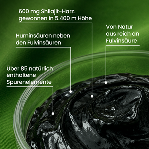 Shilajit Original Himalaya Harz | 30 g