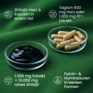 Shilajit Bundle | Harz & Kapseln